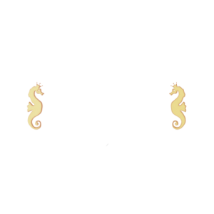 Casino Cruise Review